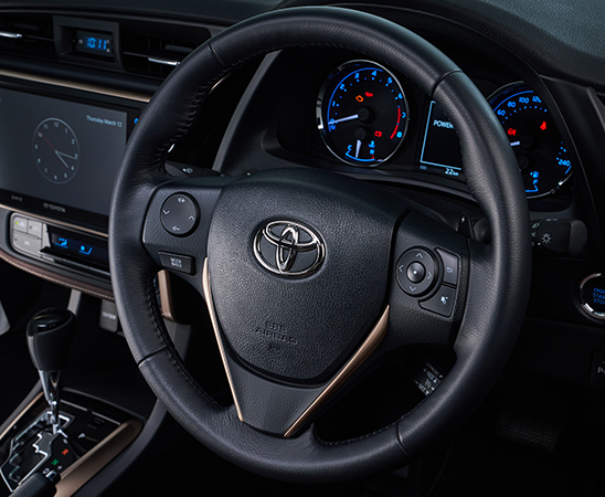 Steering Wheel Controls 